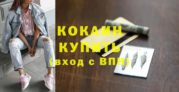 хмурый Магас